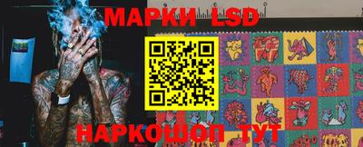 стафф Нальчик