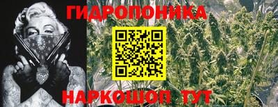 стафф Нальчик