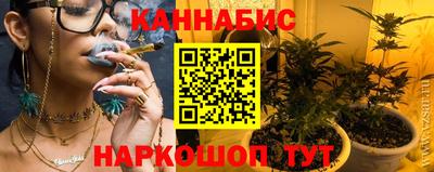 стафф Нальчик