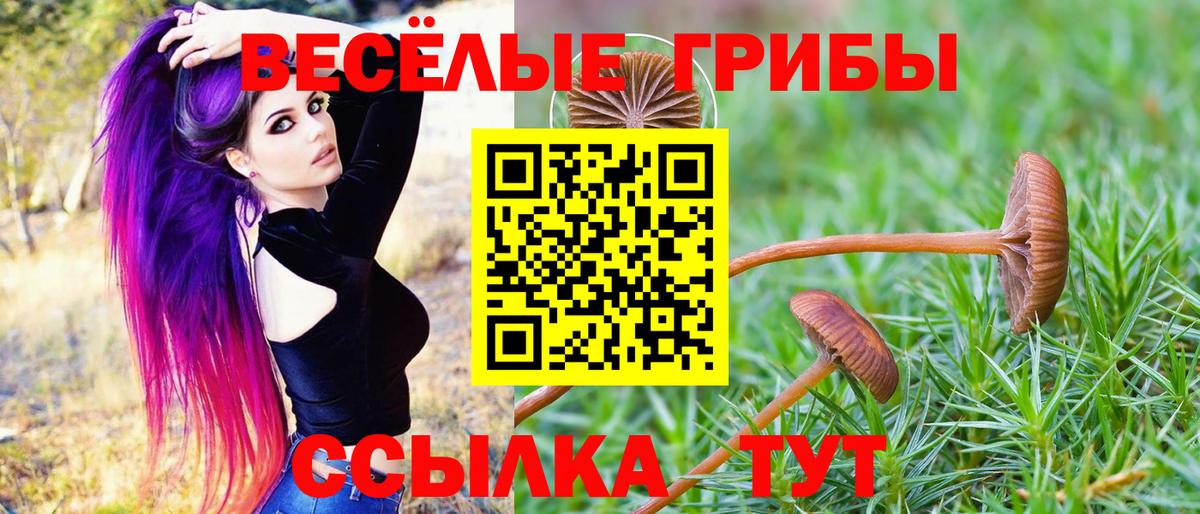 Псилоцибиновые грибы GOLDEN TEACHER Чехов