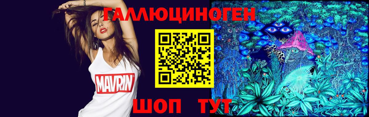 Галлюциногенные грибы MAGIC MUSHROOMS  Вход с VPN  Чехов 