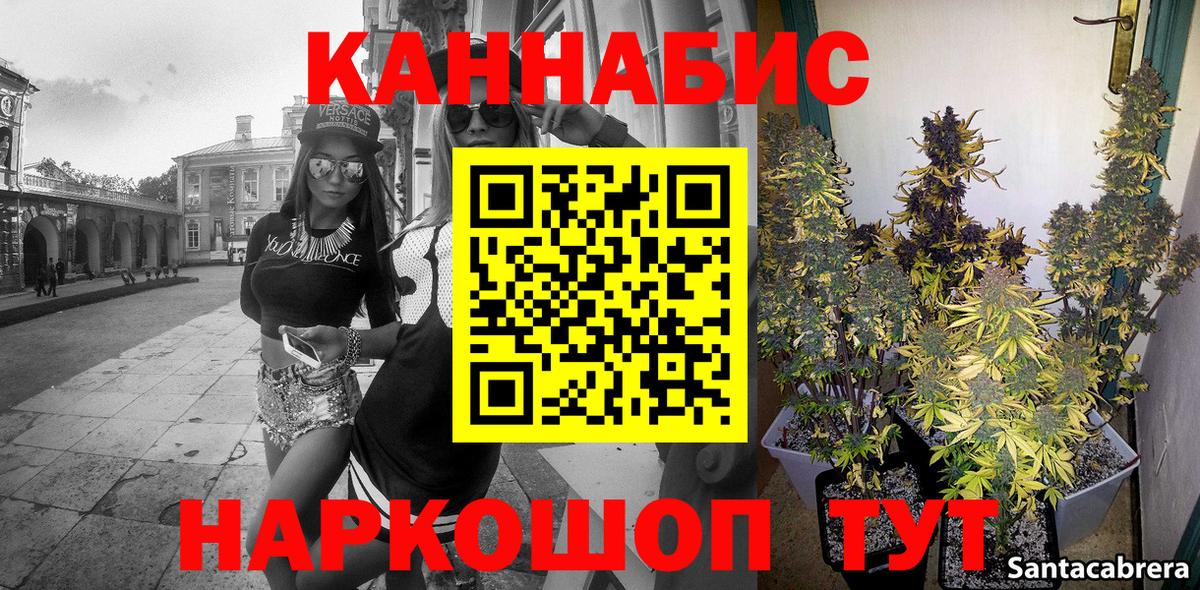 Бошки Шишки тримм Чехов
